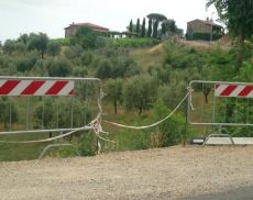Una delle zone soggette al taglio di piante lungo la circonvallazione, segnalato da Maurizio Giannelli