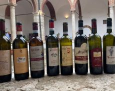 I vini in degustazione all'anteprima di Red Montalcino 2024