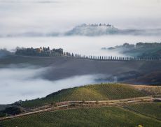 Un paesaggio di Montalcino