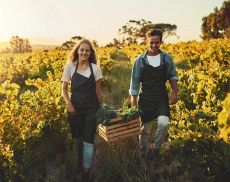 Servizio civile agricolo