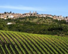 Montalcino vista