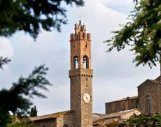 Montalcino 5