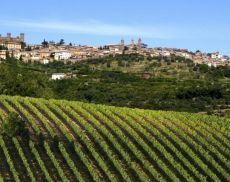 Montalcino città e campagna