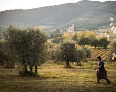 Tenuta Fanti