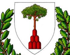 Logo del Comune di Montalcino