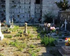 Una foto del cimitero pubblicata sul Gruppo Facebook Sei di Montalcino se......