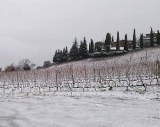 Arriva la neve a Montalcino (foto di Stefano Sassetti)