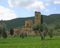 Una vista dell’Abbazia di Sant’Antimo circondata di olivi