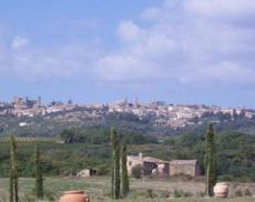 Una veduta di Montalcino dalla località di Fiesole, tenuta di Casanova di Neri
