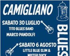 Camigliano Blues 2016