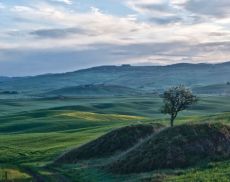 Val d'Orcia (credit visitvaldorcia.it) 