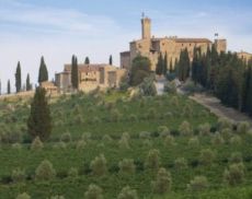 Castello Banfi, circondato dagli olivi