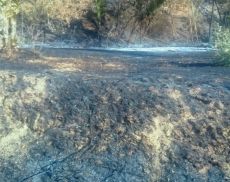 Anche Montisi è stata colpita poco più di una settimana fa dagli incendi