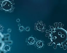 Coronavirus, ci sono i primi casi nel territorio di Montalcino