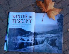 Winter in Tuscany By Saul Bellow