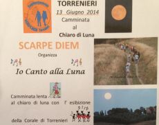 Io Canto alla Luna by Scarpe Diem