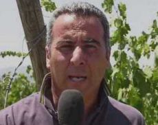 Gianni Savelli, agronomo di Banfi