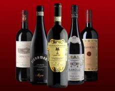 I cinque vini italiani da 100/100 per Decanter 