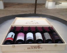 “Banfi Wine & Design”: etichette edizione limitata