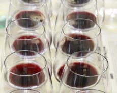 Winenews ha riportato le dichiarazioni di Kerin O’Keefe sull'interesse di capitali stranieri per il vino italiano